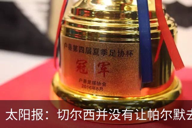 太阳报：切尔西并没有让帕尔默去游说罗杰斯，但两人感情很好